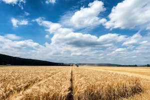 Financiamento rural: o que é e quem pode se beneficiar